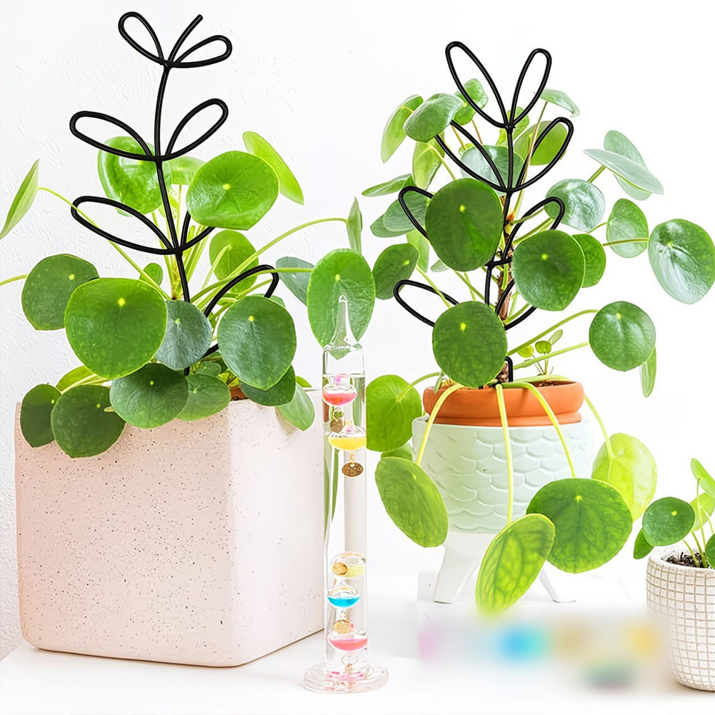 Bonsai Garden Design - Для декора интерьера: шестигранная подставка для