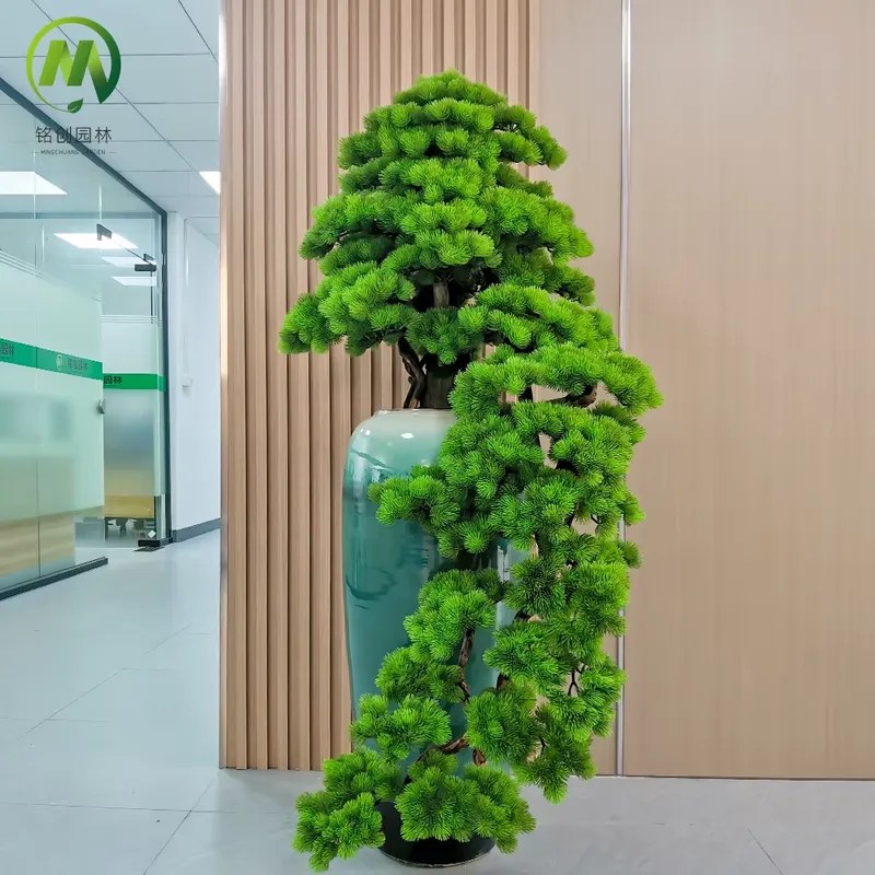 Декоративное вечнозеленое иску – обзор и цена Bonsai Tree Miniature Zen Garden