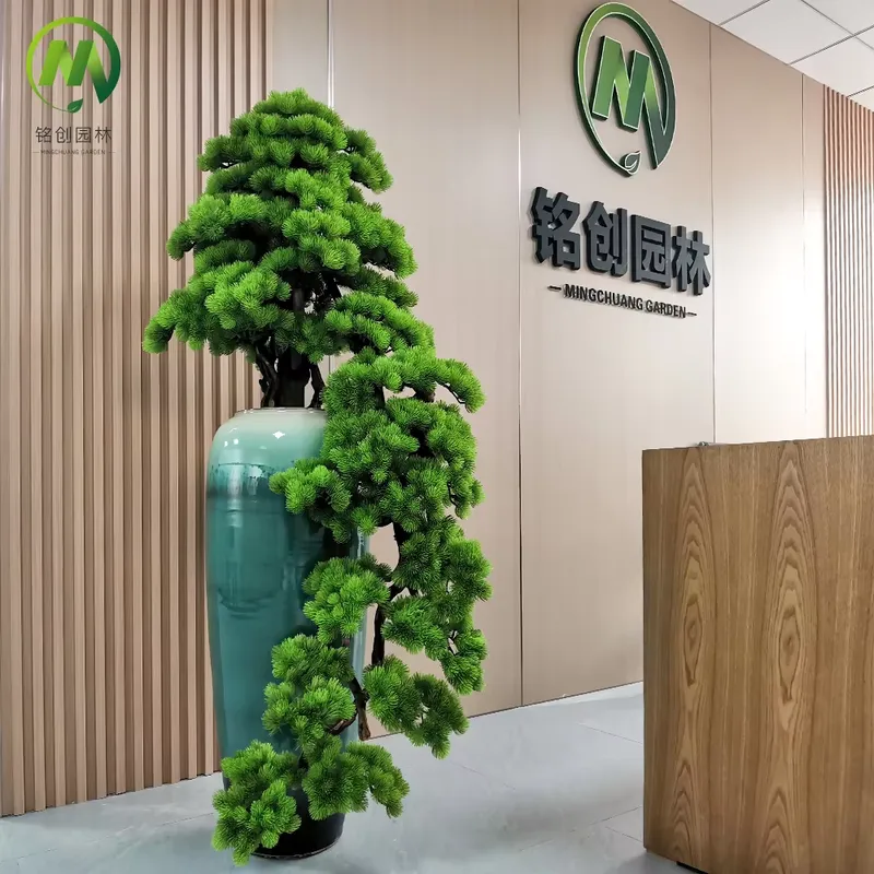 Декоративное вечнозеленое иску – обзор и цена Bonsai Tree Miniature Zen Garden