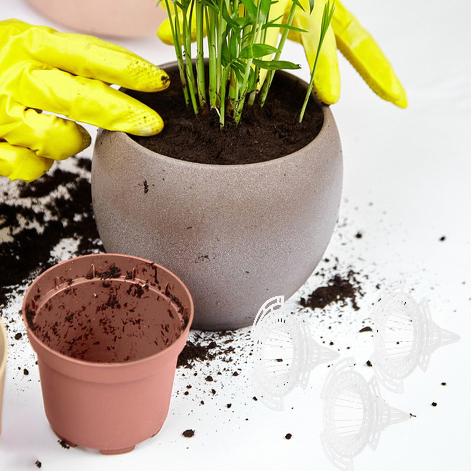 20 шт. конических сетчатых про – обзор и цена Bonsai Garden Cafe